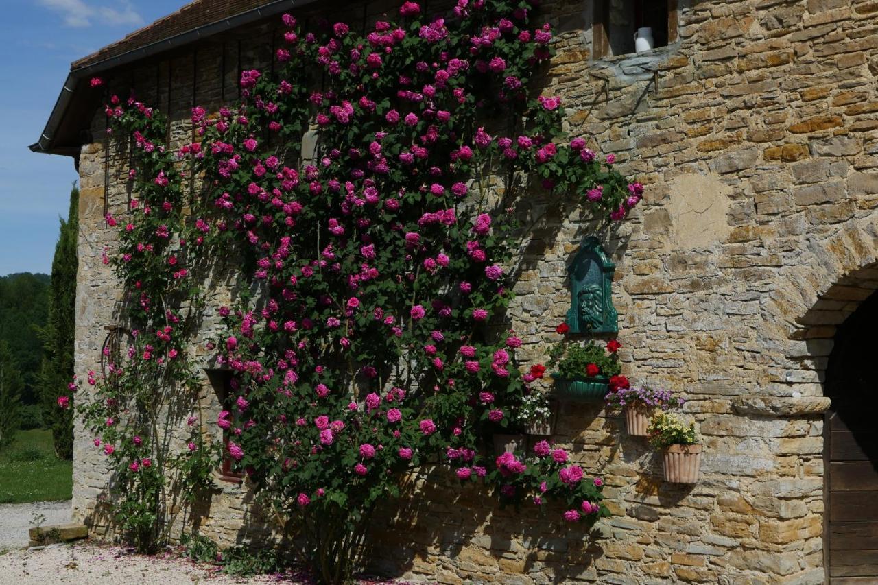 Chambres D'Hotes Secret Pyrenees Lasseube Екстер'єр фото